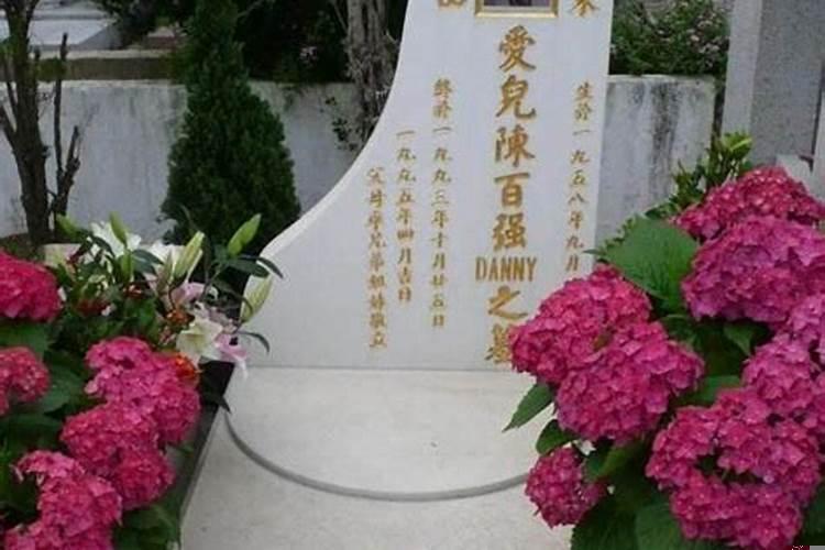 男鸡和什么属相最配婚姻