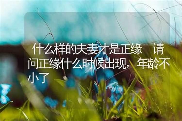 八字中的正缘是什么意思