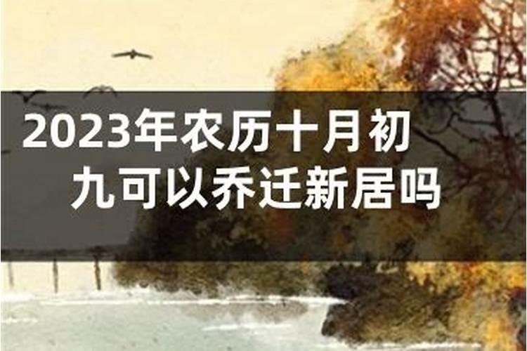 梦见槐花是怎么回事儿