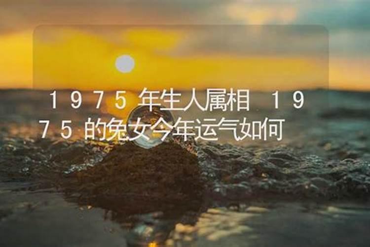 1975年生人的运势如何