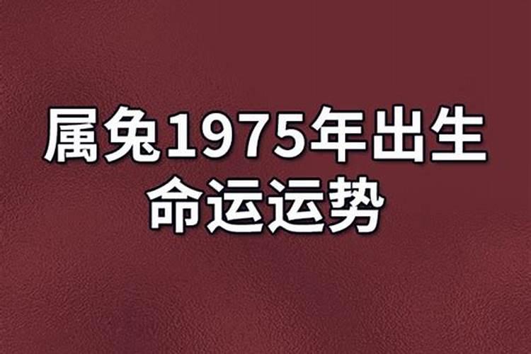 1975年生人的运势如何