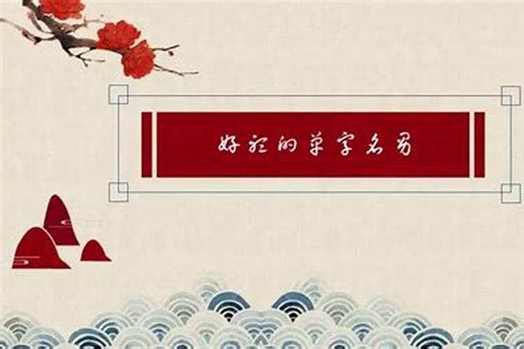 属马的今年幸运色是什么