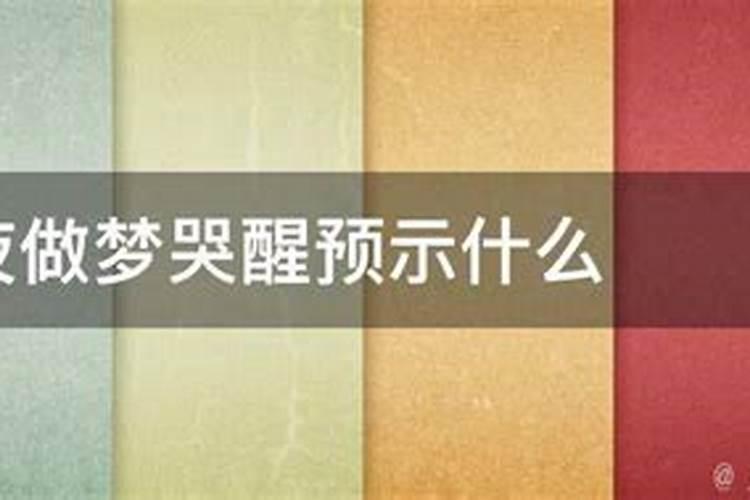 属牛2023年运程12月1日