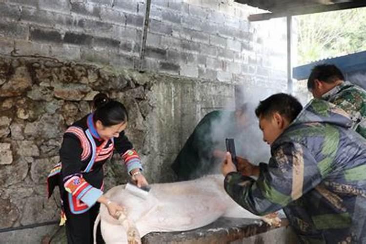 今年属鸡运势和健康运势如何