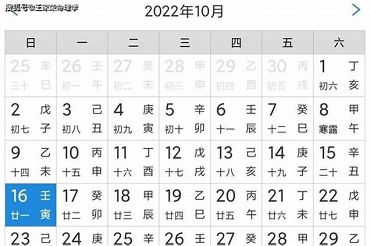 2022年属于什么五行属什么