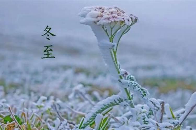 除夕是农历时间节气吗