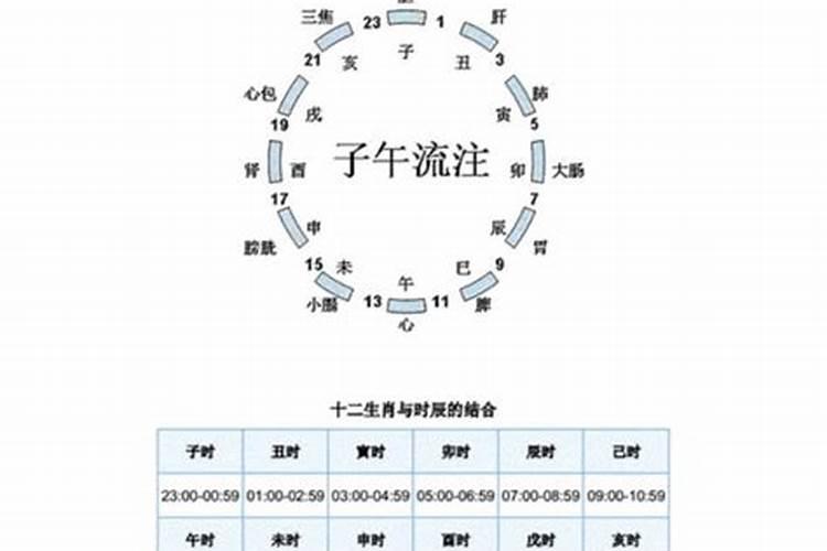 87年属兔的命运怎样