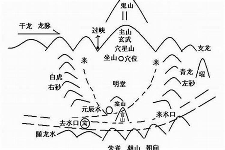 梦见兔子咬我脚不放