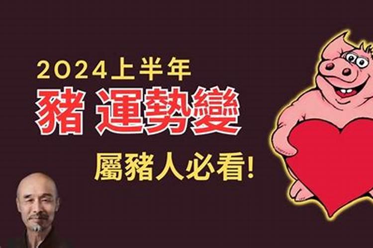 90年马2023年运势感情