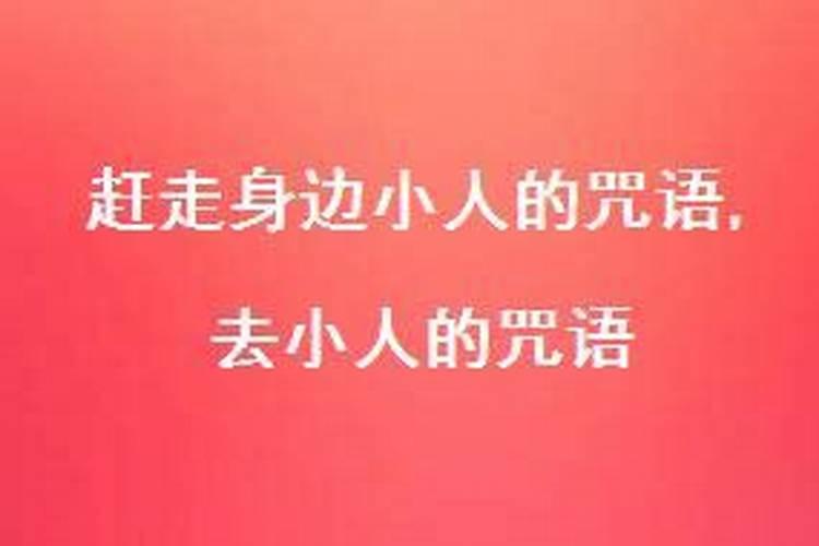 2023年1月29日生肖运程如何