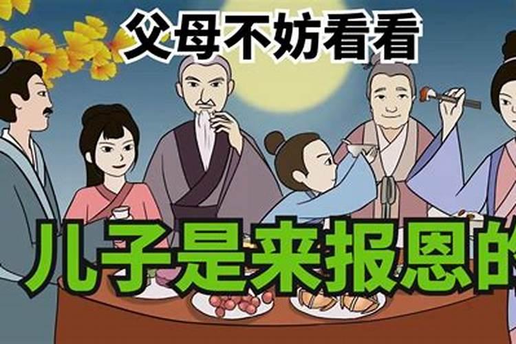 独行的生肖动物是什么生肖呢