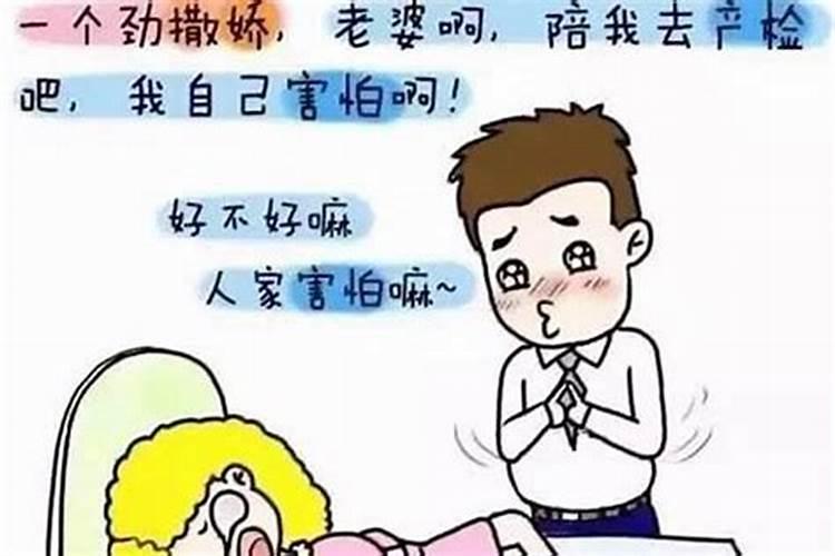 婚属什么生肖