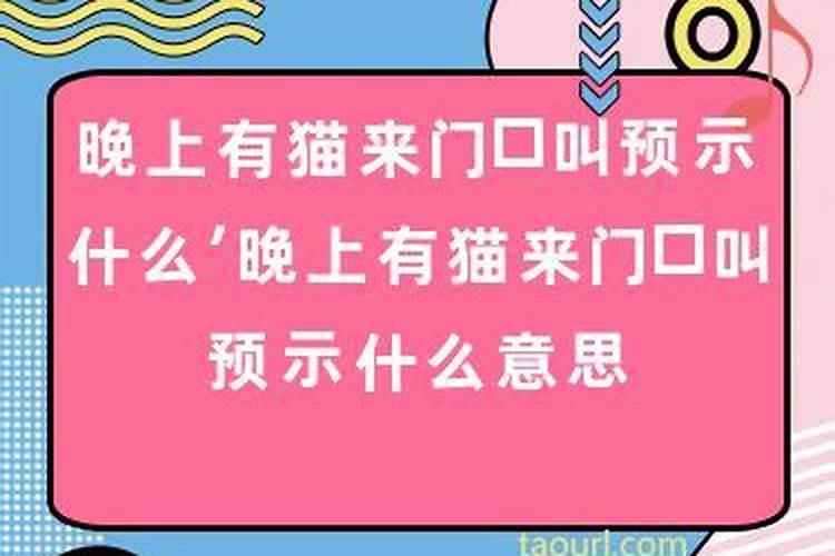 梦见老婆咬我出血流了很多血什么意思