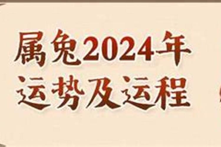 属兔的今年能结婚吗2020年