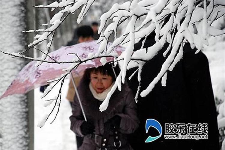 柳州清明节祭祖多少人