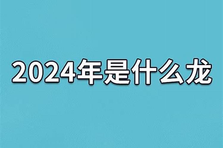 2019年是什么年啊属什么是什么