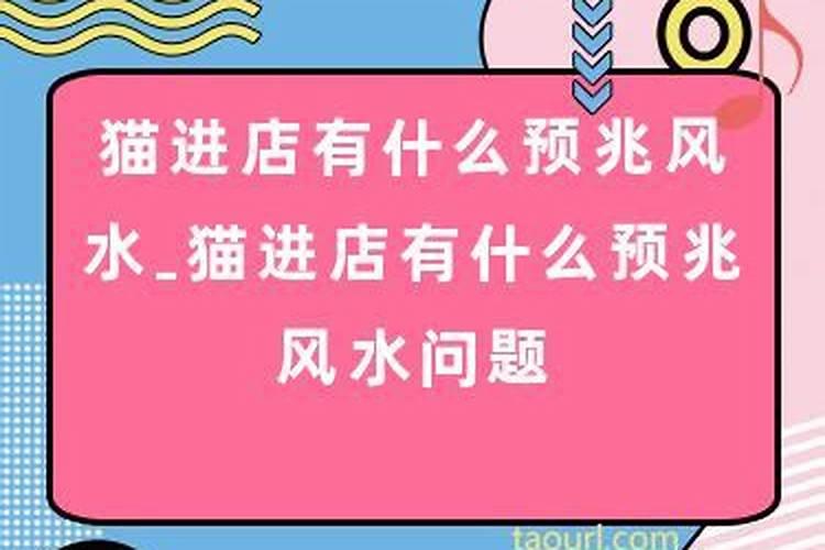 梦见女人主动接近我老公什么意思