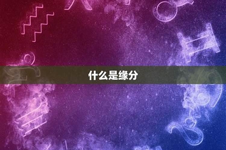 82年狗2023年运势如何月解析