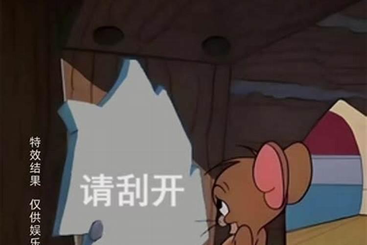 双子座是啥命