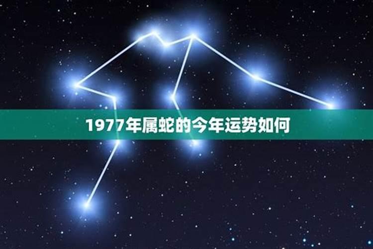 生肖猴6月运势2021年