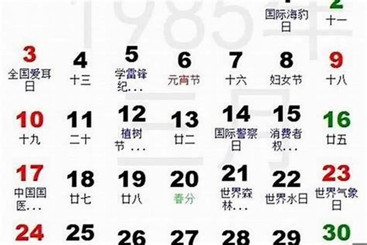 1985年农历10月16今年运势