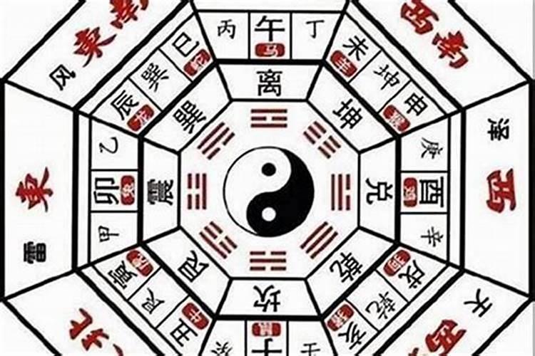 柳字属于五行属什么行