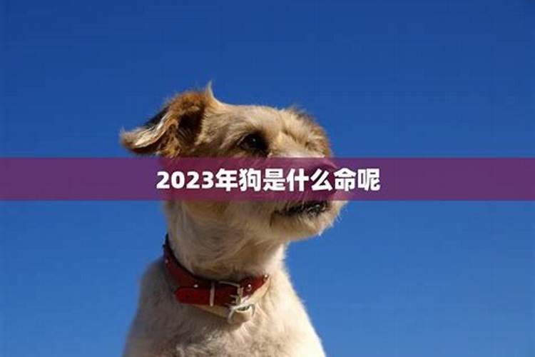 1月和12月摩羯座的区别是什么