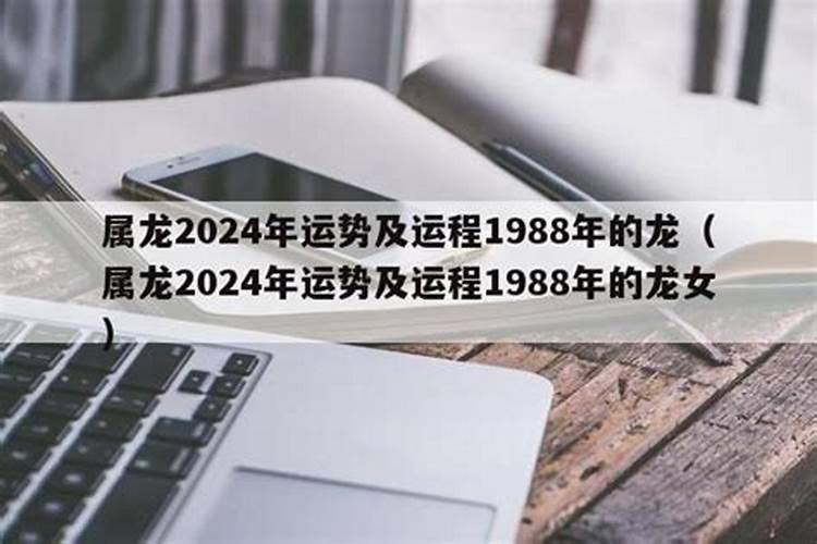 2023属兔人是啥命