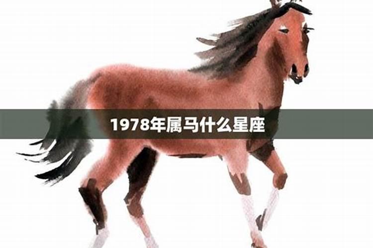 马年是什么星座的78年