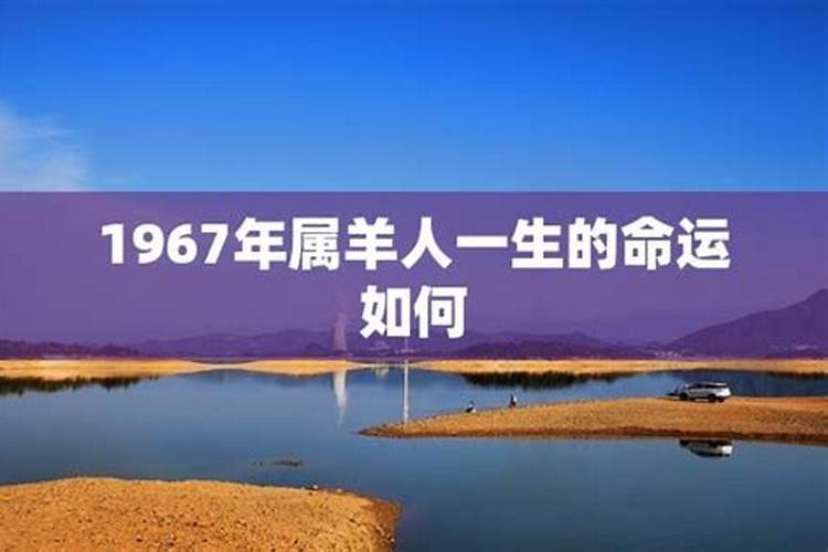 93年属于什么生肖年五行