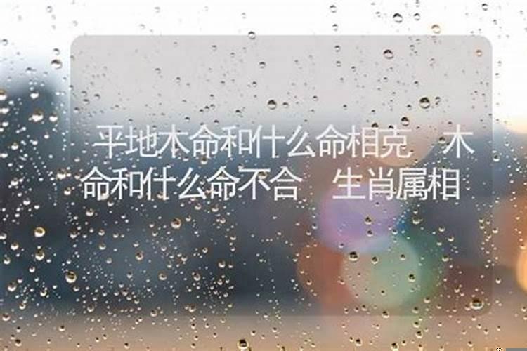 命相不合什么意思