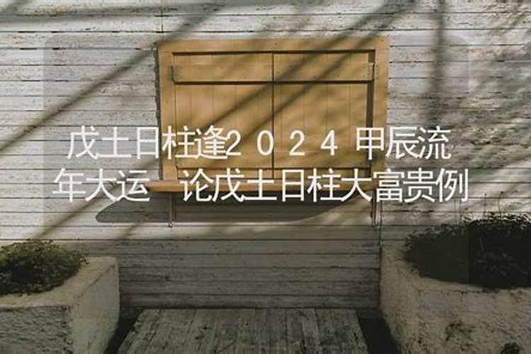 戊土日柱2024年运势