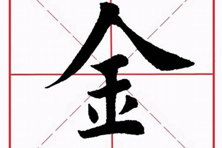 属狗的今年不能结婚吗为什么