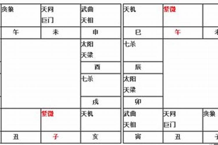 紫微星入命是什么意思