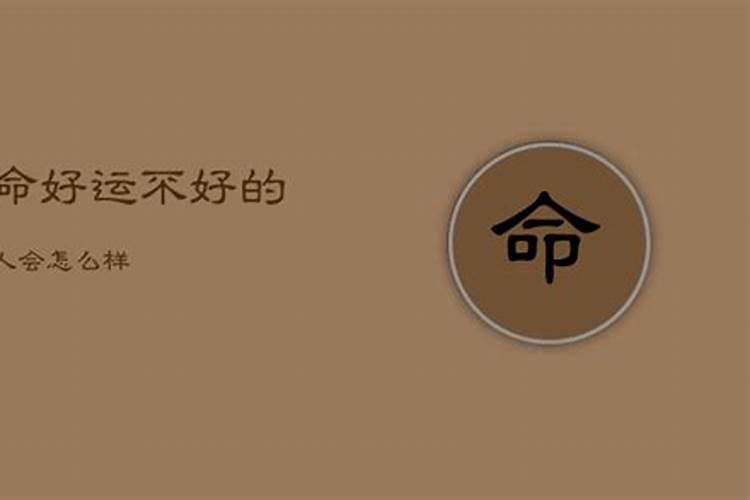 春字代表什么生肖和动物