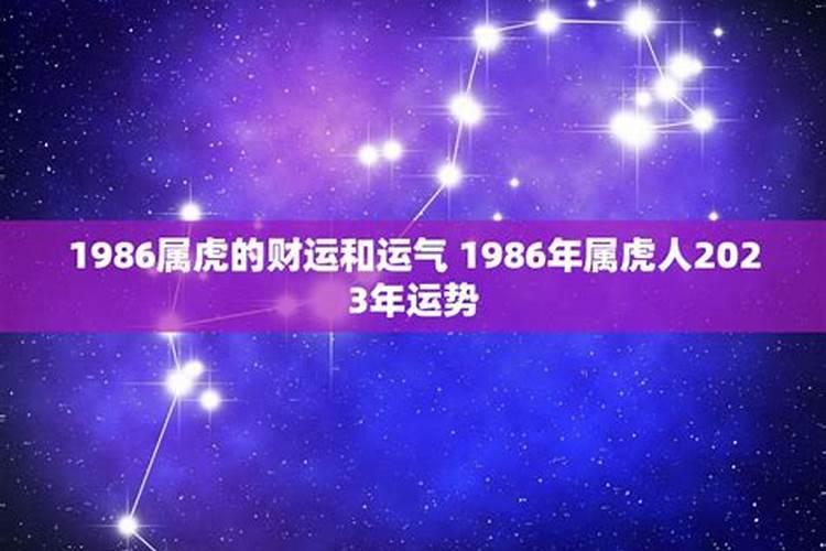 一厢情愿打一什么生肖答案