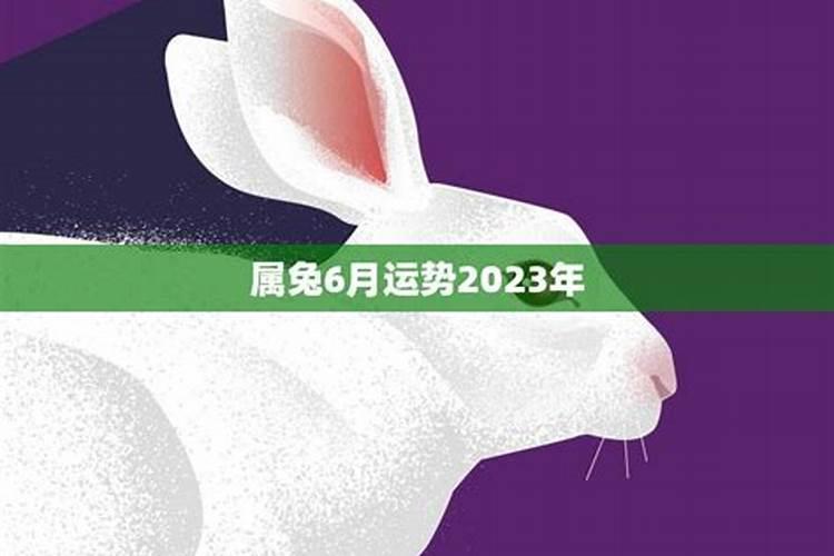 属鼠的今年几岁对照表2020年2020年属鸡多大岁数