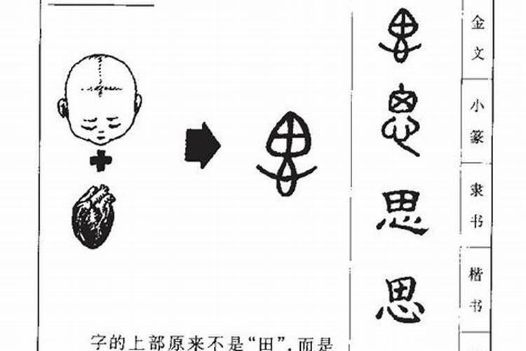 思字在五行属性是什么