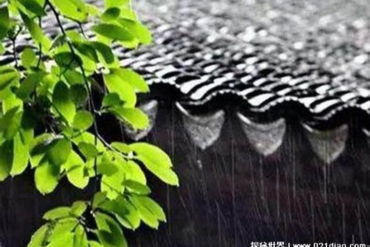 阴雨绵绵是什么生肖必看三六七是指什么生肖