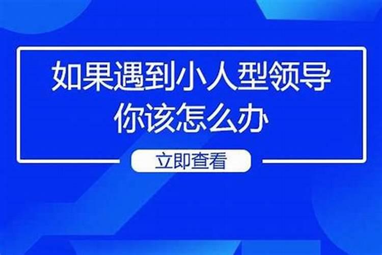 做梦梦见猫去抓老鼠好不好