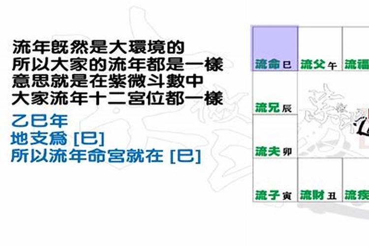 梦到吃茄子包子