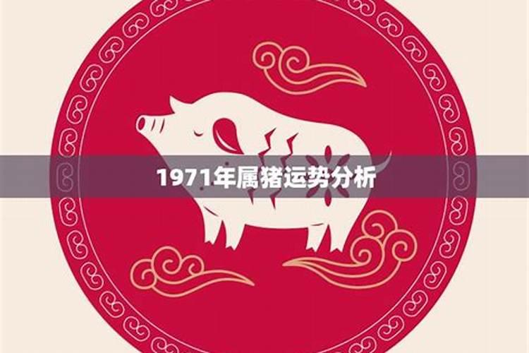 2020年是属兔的本命年吗