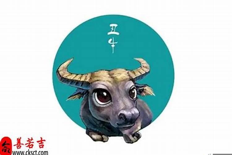 犯太岁的生肖2023肖