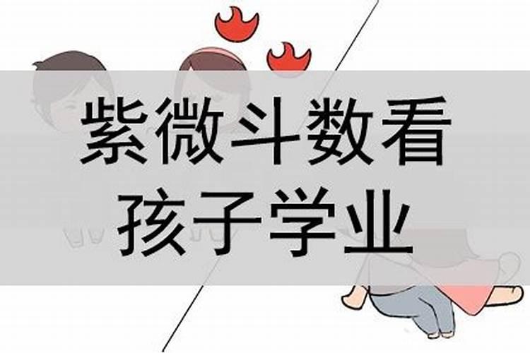 属马月份命运哪个月最好