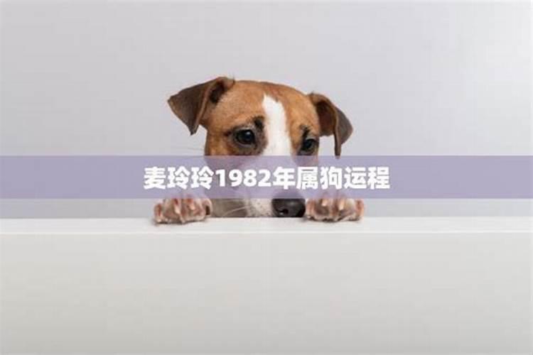 1998年出生的人是什么生肖啊