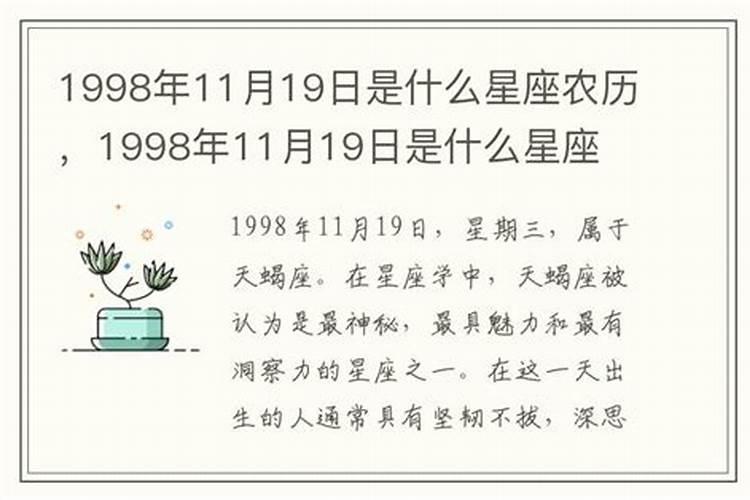 属兔者2023年运势