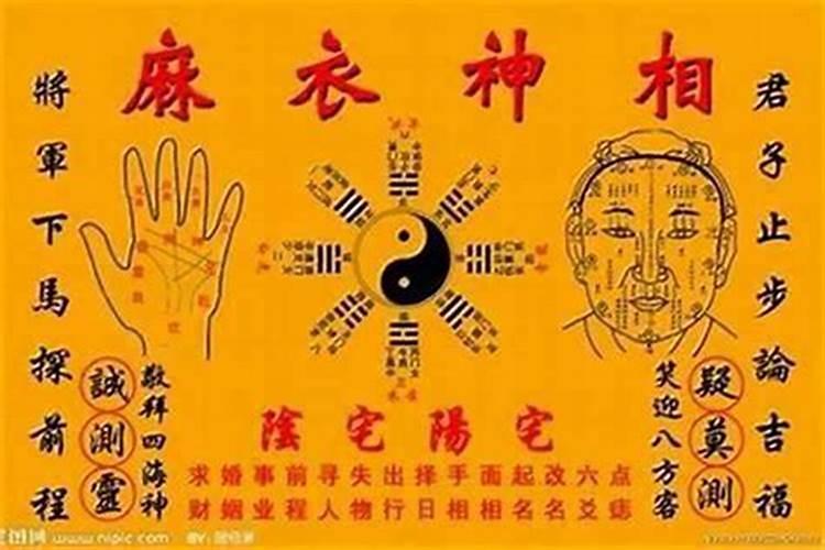 属蛇男为什么婚姻不顺呢