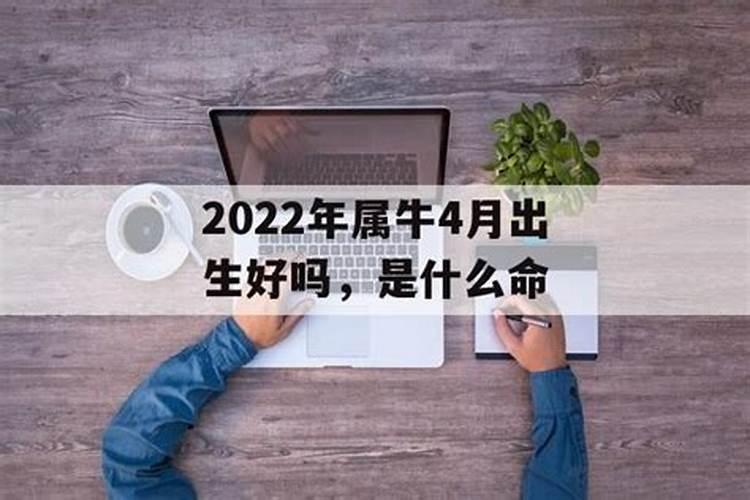 2024年属牛2月出生好吗