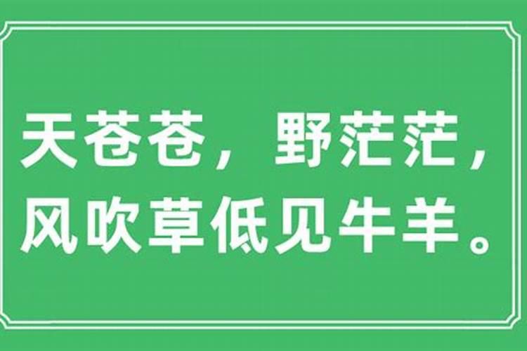 风吹草低是什么生肖动物