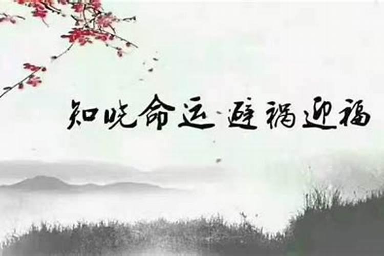 命是天定，运是人为